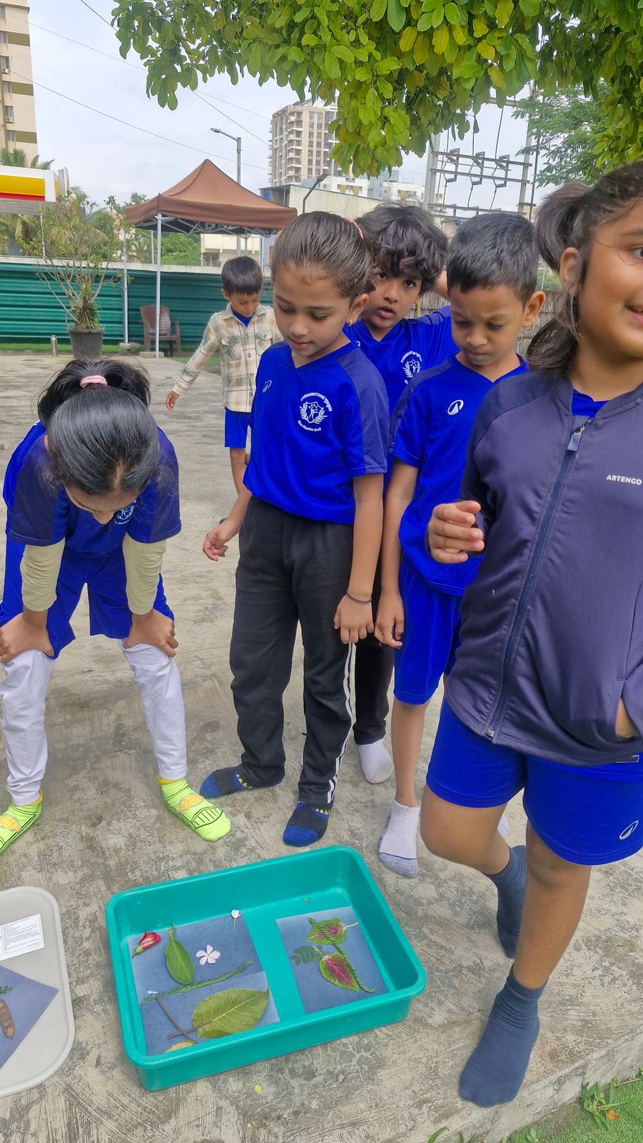 Children gather round a blue tray in the open